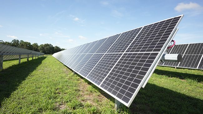 Wendy’s central Florida restaurants now sourcing renewable energy from Florida power grid