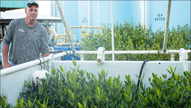 Duke Energy doubles down on marine conservation efforts in Florida with $250,000 donation to Coastal Conservation Association Florida