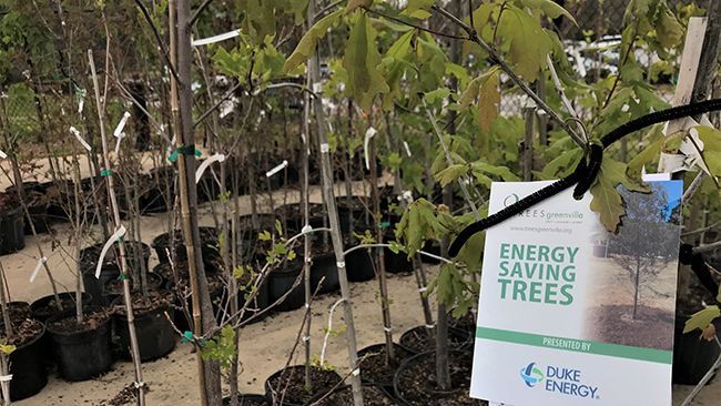 Duke Energy continues $400,000 monthlong focus on sustainability, environmental efforts in South Carolina by helping grow Energy Saving Trees Program