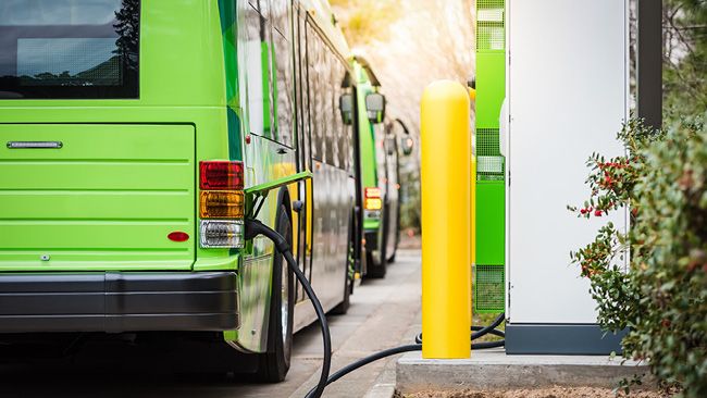 Pinellas Suncoast Transit Authority Continues to Go Green