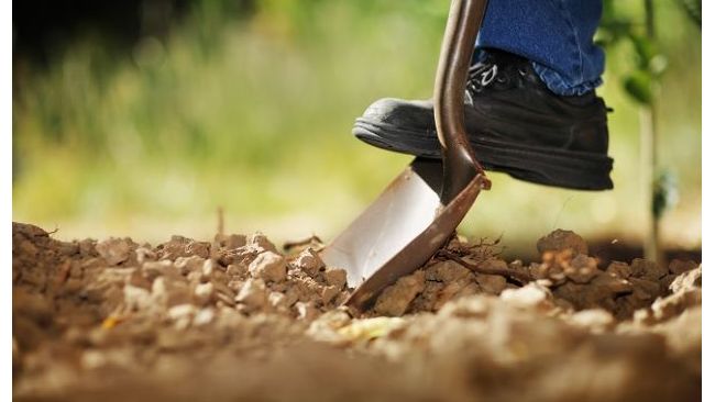 Piedmont Natural Gas, Duke Energy remind residents that safe digging starts with 811 