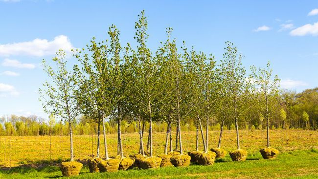 Duke Energy helps protect, enhance natural resources in southwest Ohio and Northern Kentucky with $115,000 in grants