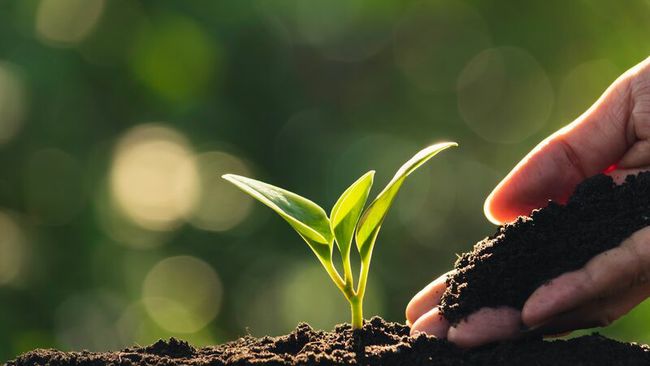 Duke Energy Foundation awards more than $250,000 in grants to support environmental initiatives in Indiana communities