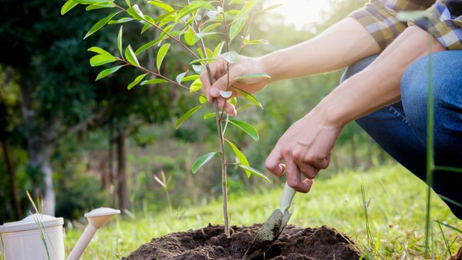 Duke Energy celebrates Earth Day with $200,000 Foundation grants, employee volunteerism