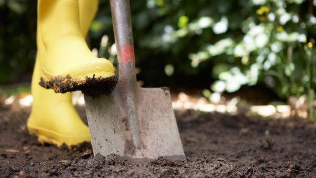 Dial before you dig – Piedmont Natural Gas and Duke Energy remind ...