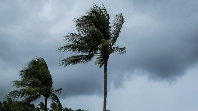 Duke Energy se prepara para un fenómeno meteorológico severo que se espera en Florida; anima a sus clientes a planear con anticipación