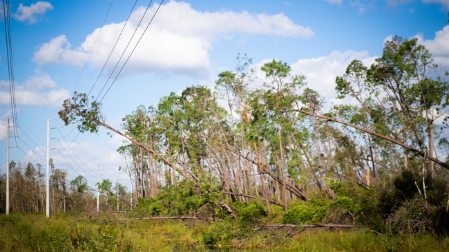 Las cuadrillas de Duke Energy han restaurado el suministro eléctrico de más de 600,000 clientes, y han determinado el plazo de restauración calculado de los condados del norte de Florida