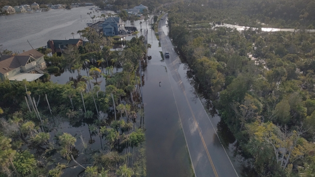 Halls River Dr 3