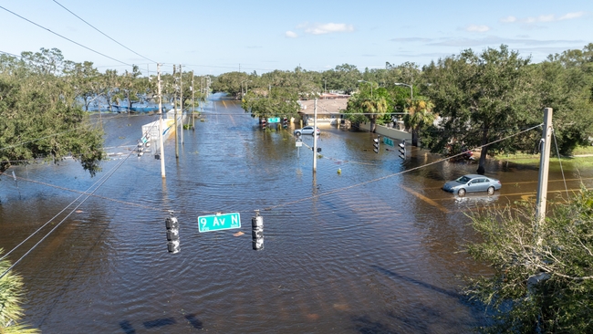 St. Petersburg, Fla. | Milton