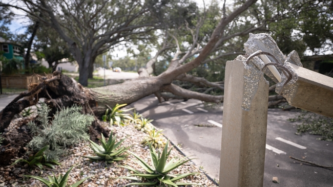 St. Petersburg, Fla. | Milton