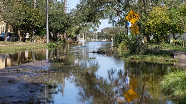 St. Petersburg, Fla. | Milton
