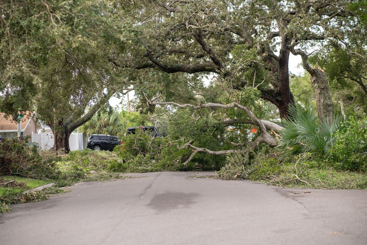 St. Petersburg, Fla. | Milton