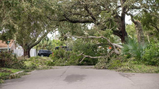 St. Petersburg, Fla. | Milton