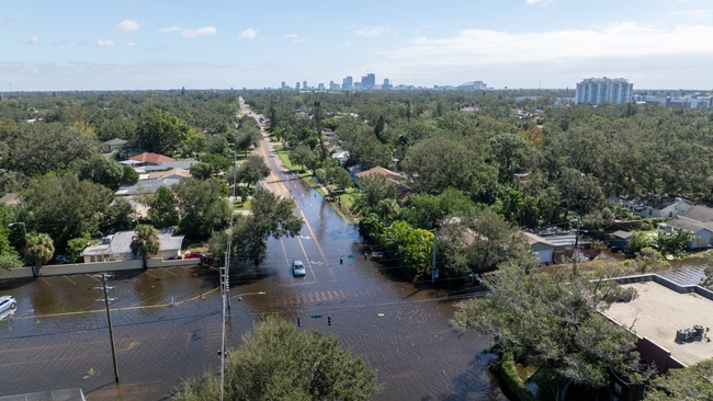 St. Petersburg, Fla. | Milton