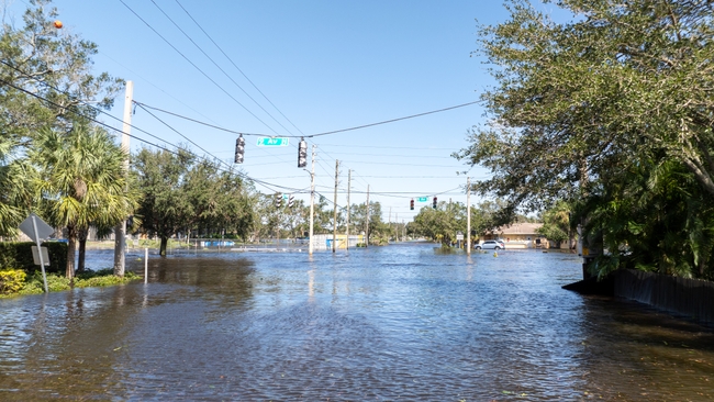 St. Petersburg, Fla. | Milton