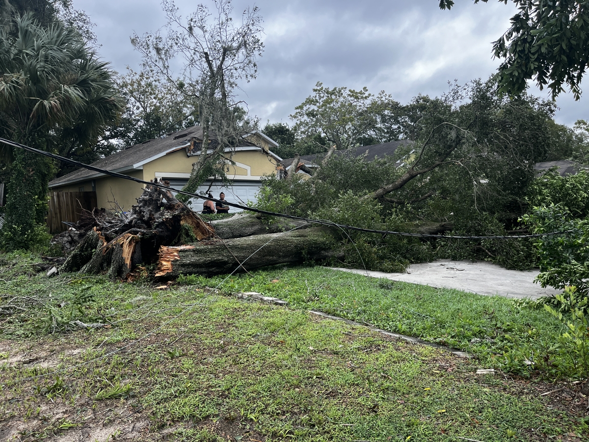 Orlo Vista, Fla.