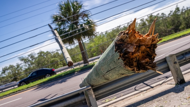 St. Petersburg, Fla. | Milton