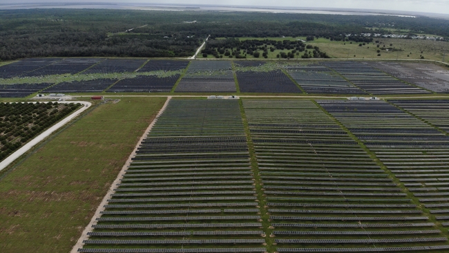 Lake Placid Solar Power Plant | Highlands Co., Fla. | Milton
