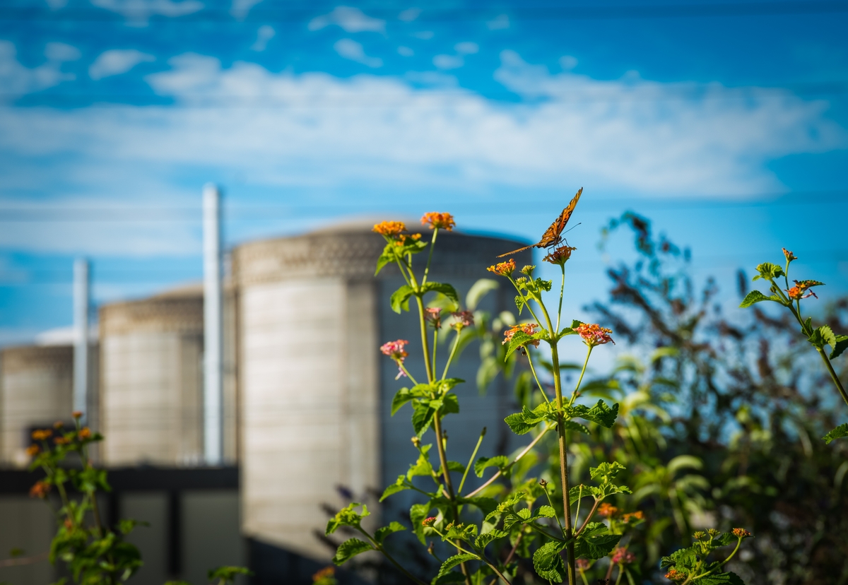 Oconee-Nuclear-Plant