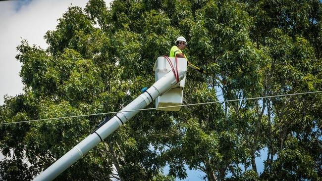 Duke Energy Florida’s tree care practices prevent outages, earn 19th consecutive year of national recognition 