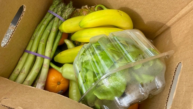 Duke Energy Foundation gives $100,000 to One SC Fund as part of annual campaign to help fight hunger in South Carolina