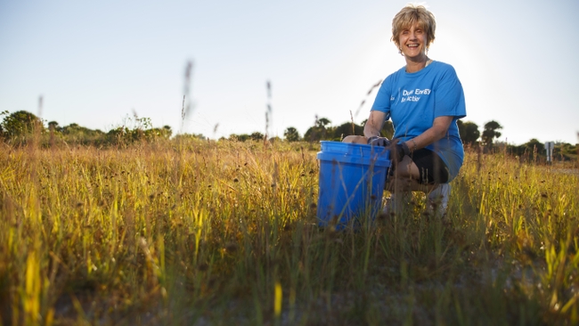Duke Energy Foundation announces first round of America250 grants to ...