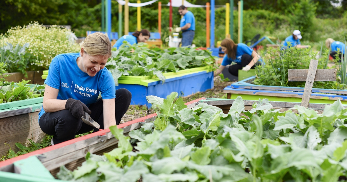 Ahead of Earth Day, Duke Energy Foundation announces first round of ...