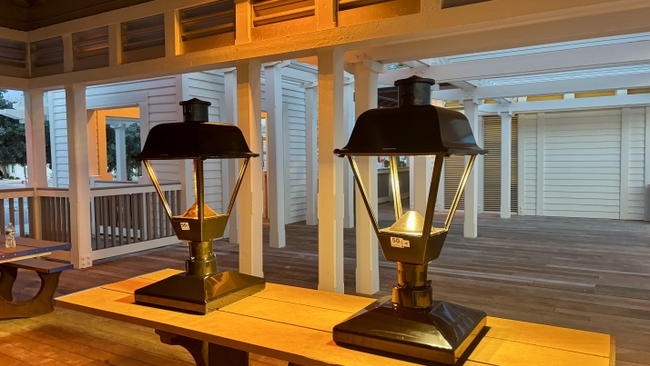 Duke Energy Florida, Sea Turtle Conservancy and Clearwater Marine Aquarium Return to Treasure Island to Mark Progress in Protecting Hatchlings