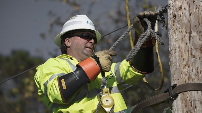 Duke Energy Florida wrapping up power restoration following Hurricane Isaias; strategic grid improvements delivered customer benefits