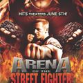 Arena of the Street Fighter