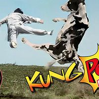 kung-pow-youtube-menu