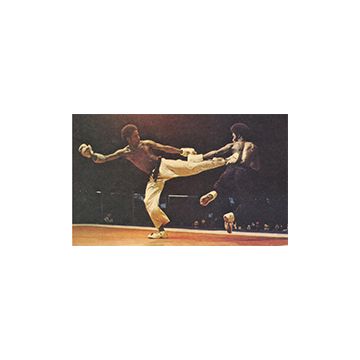Cecil_press_martial_arts_museum