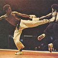 Cecil_press_martial_arts_museum