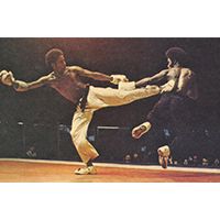 Cecil_press_martial_arts_museum