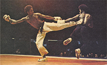 Cecil_press_martial_arts_museum