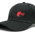 museum-red-dragons