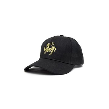 small-shotokan-cap