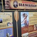 Museum - hawaii