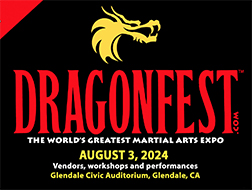 dragonfest box