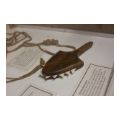 museum-4