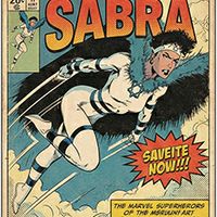 martial arts museum - sabra 3
