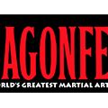 dragonfest - martial arts museum