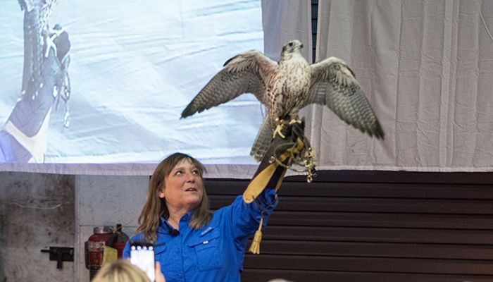 13-Eagle-PS