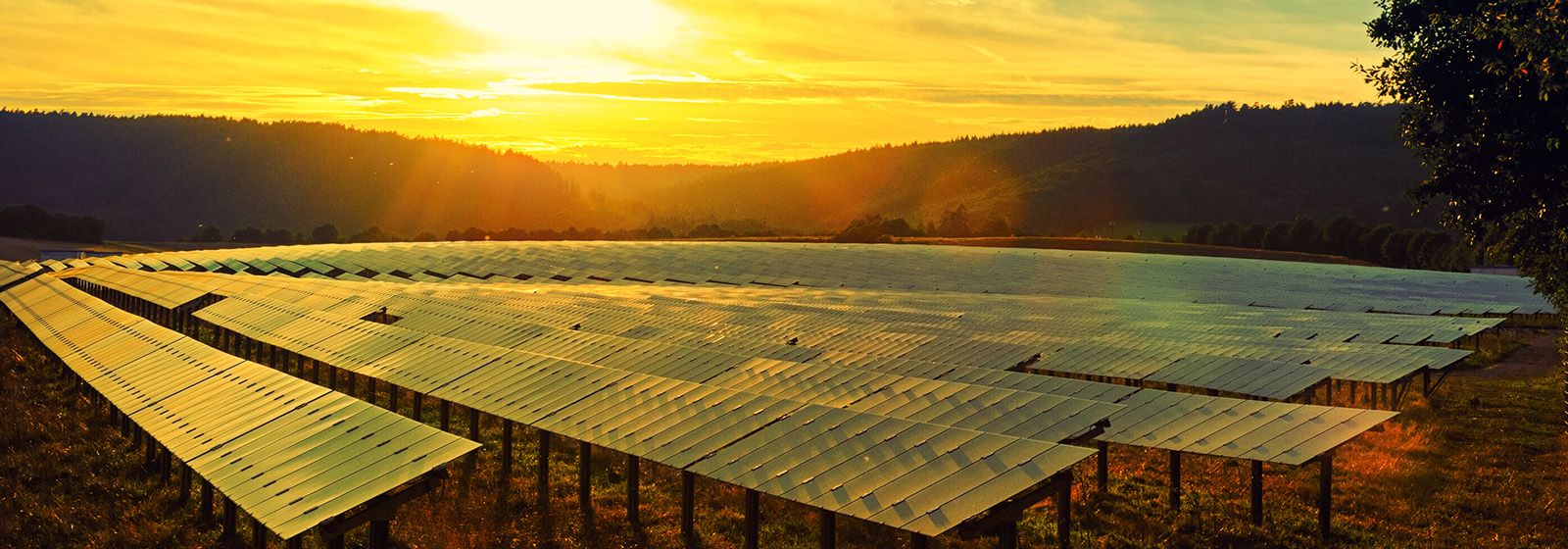 Solving the lower carbon puzzle