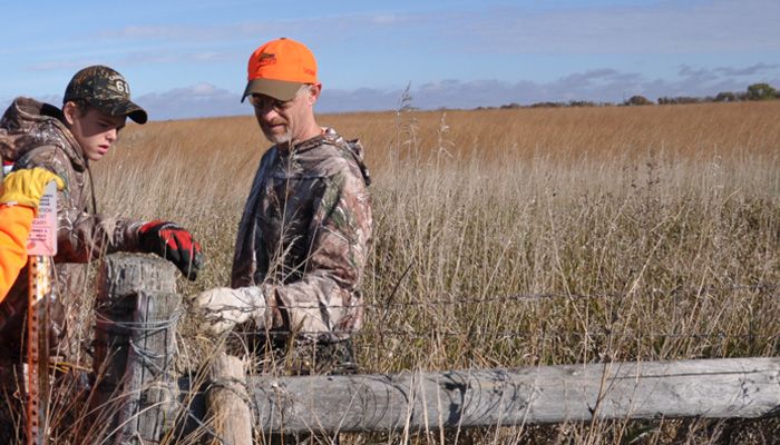 SteveSonFence700x400