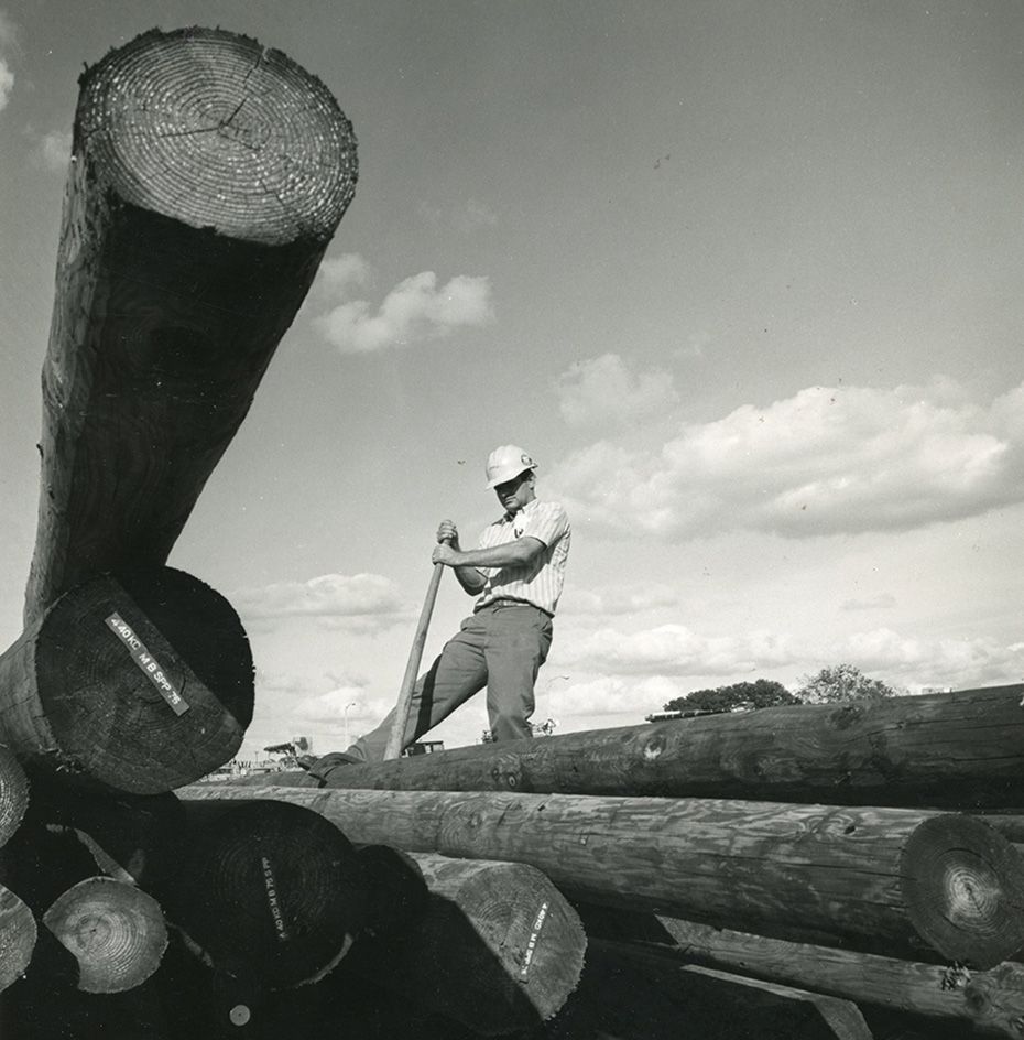 Lumber 33