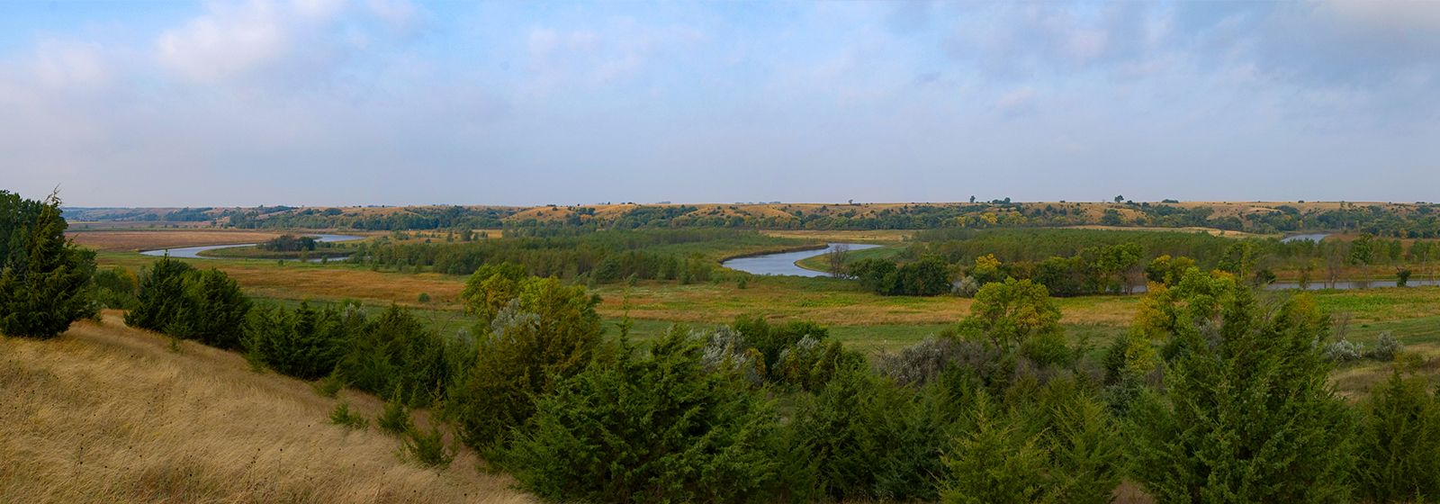 Blighted prairie restored to natural splendor