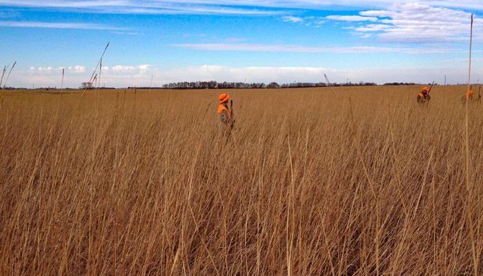 03-PS_Prairie
