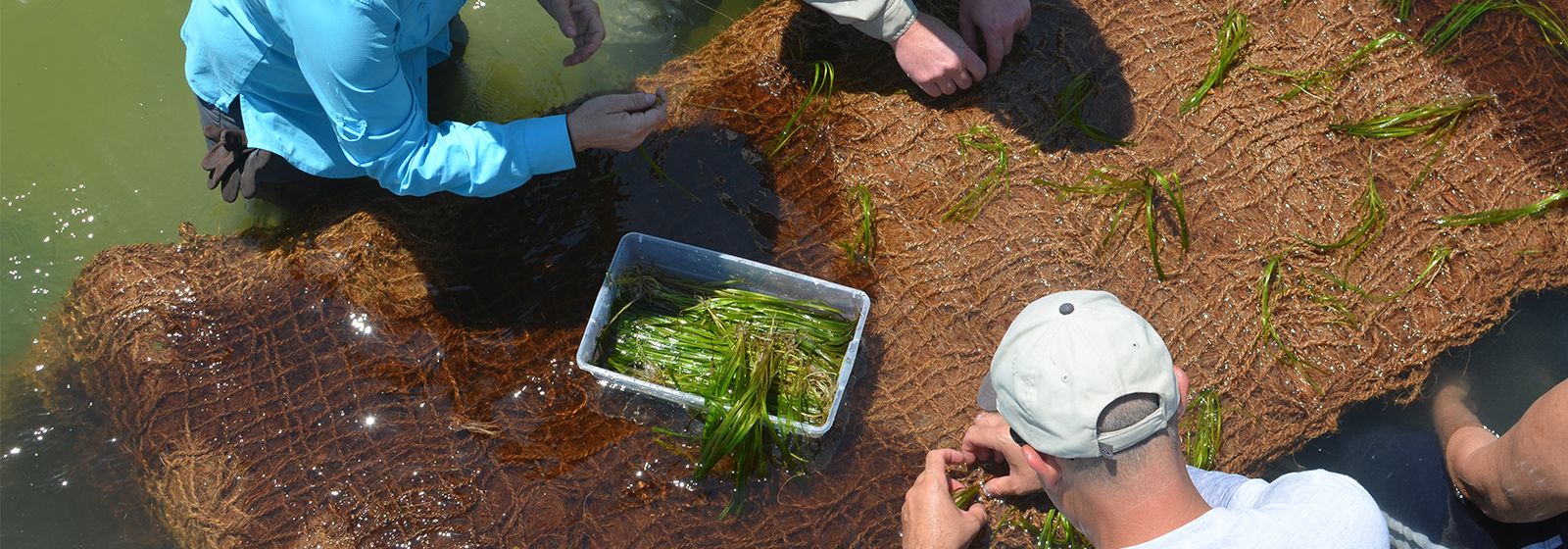 Unlikely hero in fight to save springs