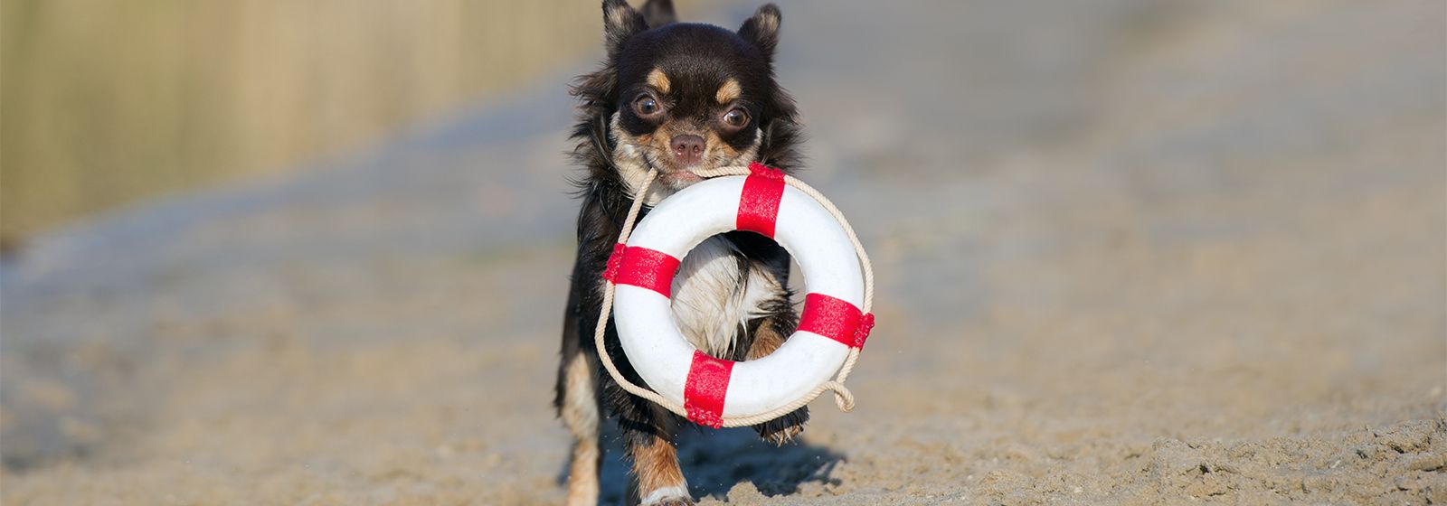 How to keep safe this summer